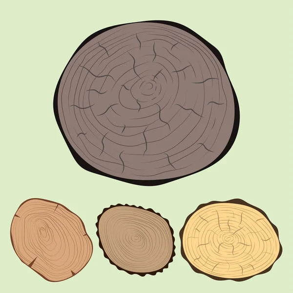 Bois tranche texture arbre cercle coupe matière première ensemble détail plante années histoire texturé rugueux forêt vecteur illustration . — Image vectorielle