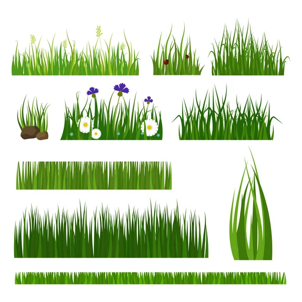 Verde hierba frontera planta césped naturaleza pradera ecología verano jardinería vector ilustración — Archivo Imágenes Vectoriales