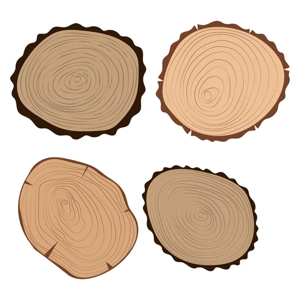 Wood slice texture tree circle cut raw material set detail plant years history textured rough forest vector illustration. — Stock Vector