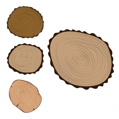 Hammadde kesmek ahşap dilim doku ağaç daire detay bitki yıl geçmiş dokulu kaba orman vektör çizim ayarla..