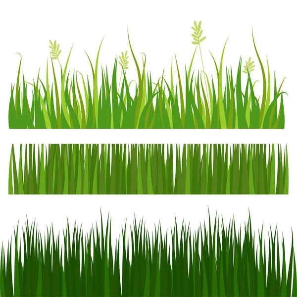 Green grass border plant lawn nature meadow ecology summer gardening vector illustration — Stock Vector