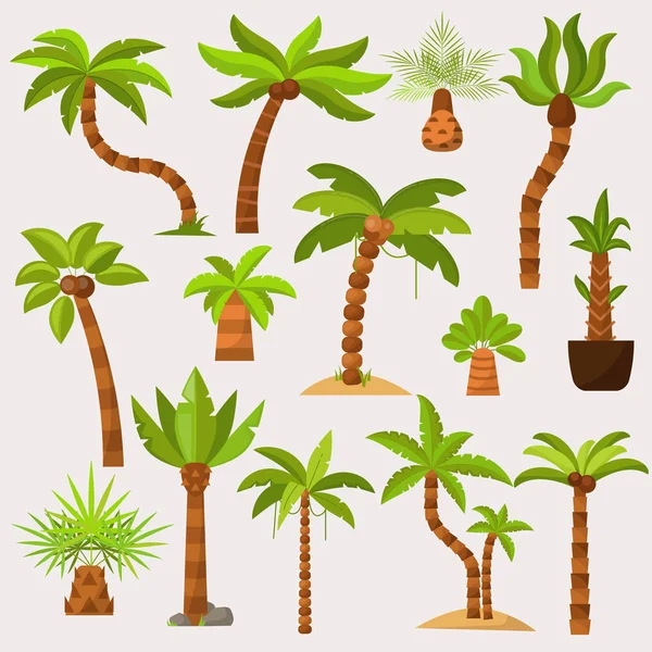 Palma Vektor tropischen Baum mit Kokosnuss oder grünen exotischen Blättern und Palmetto auf tropischen Strand Illustration Palme Set isoliert auf weißem Hintergrund — Stockvektor