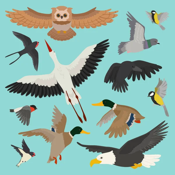 Pájaro vector de dibujos animados vuelo pájaro búho paloma y pato con alas de pluma ilustración conjunto toro pinzón cigüeña o tragar para birdfancier aislado en el fondo — Vector de stock