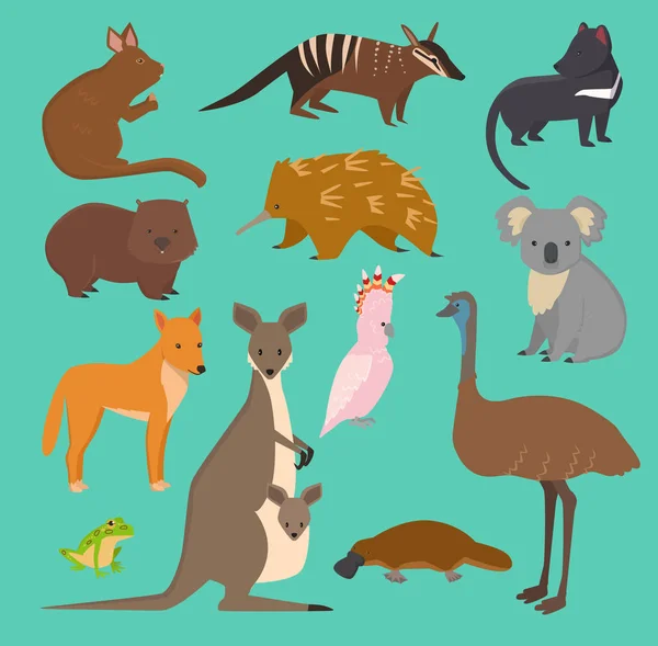 Австралийские дикие векторные животные коллекция австралийских популярных животных, таких как утконос, коала, кенгуру, страус набор изолированы на заднем плане — стоковый вектор
