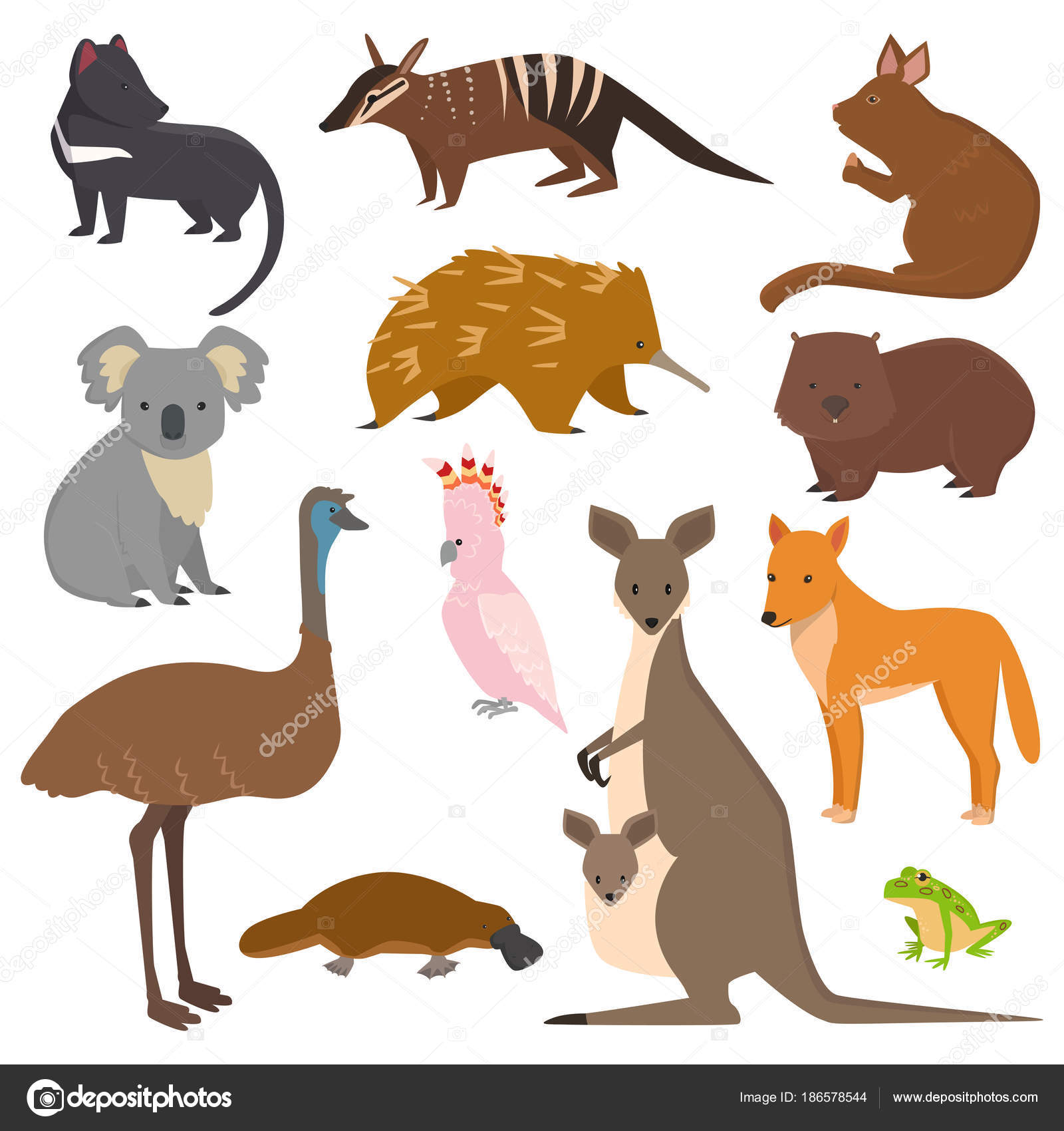 Images Australian Animal Cartoon Australian Wild Vector Animals