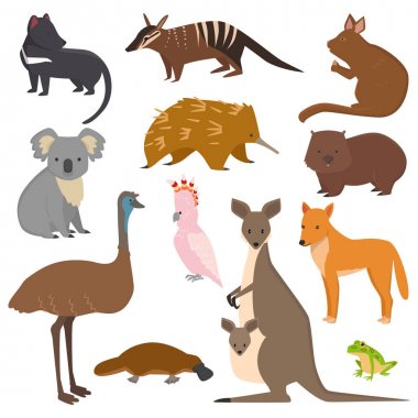 Popüler hayvanlar gibi ornitorenk, koala, kanguru, beyaz arka plan üzerinde izole devekuşu küme koleksiyon Avustralya Avustralya vahşi vektör hayvanlar karikatür