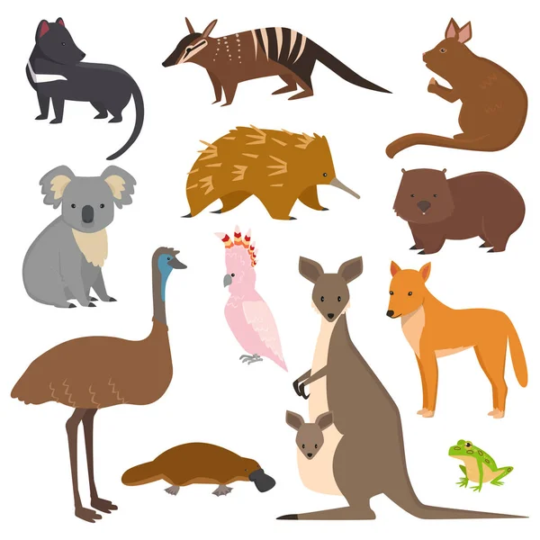 Australische wild vector dieren cartoon collectie Australië populaire dieren zoals koala, vogelbekdier, kangoeroe, struisvogel set geïsoleerd op witte achtergrond — Stockvector