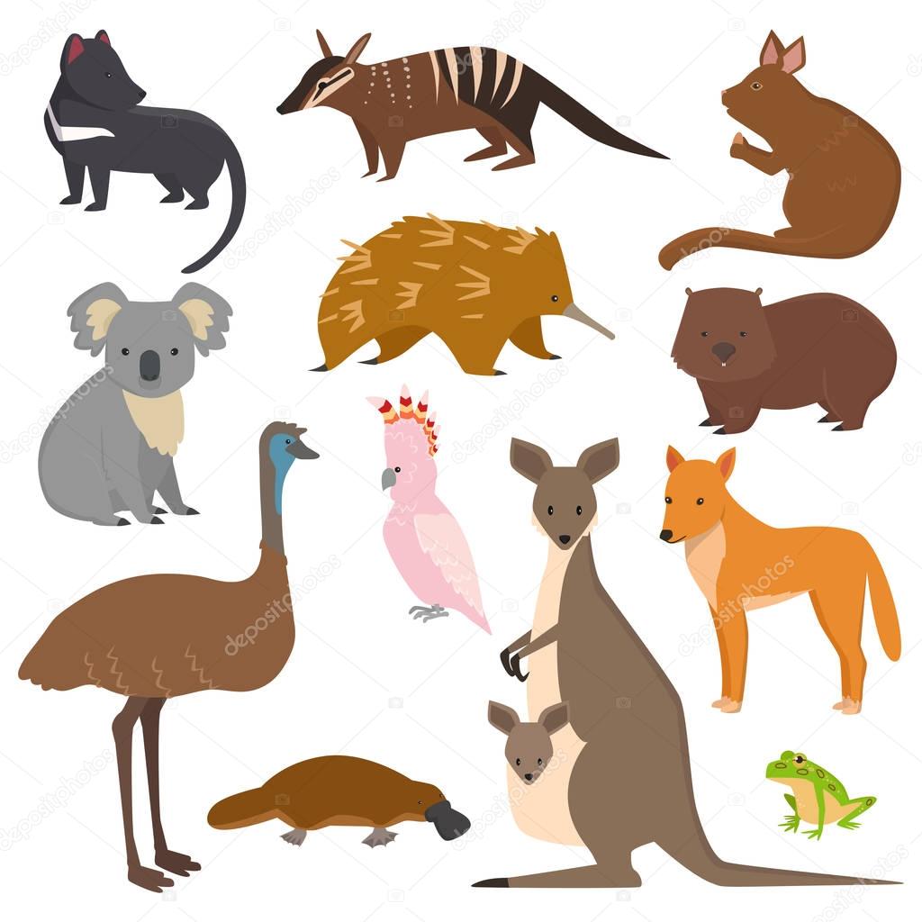 Australian wild vector animals cartoon collection australia popular animals like platypus, koala, kangaroo, ostrich set isolated on white background