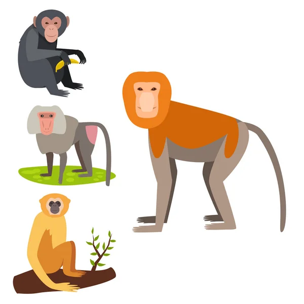Обезьяна персонаж животных различных хлебов дикий зоопарк обезьяна шимпанзе векторной иллюстрации . — стоковый вектор