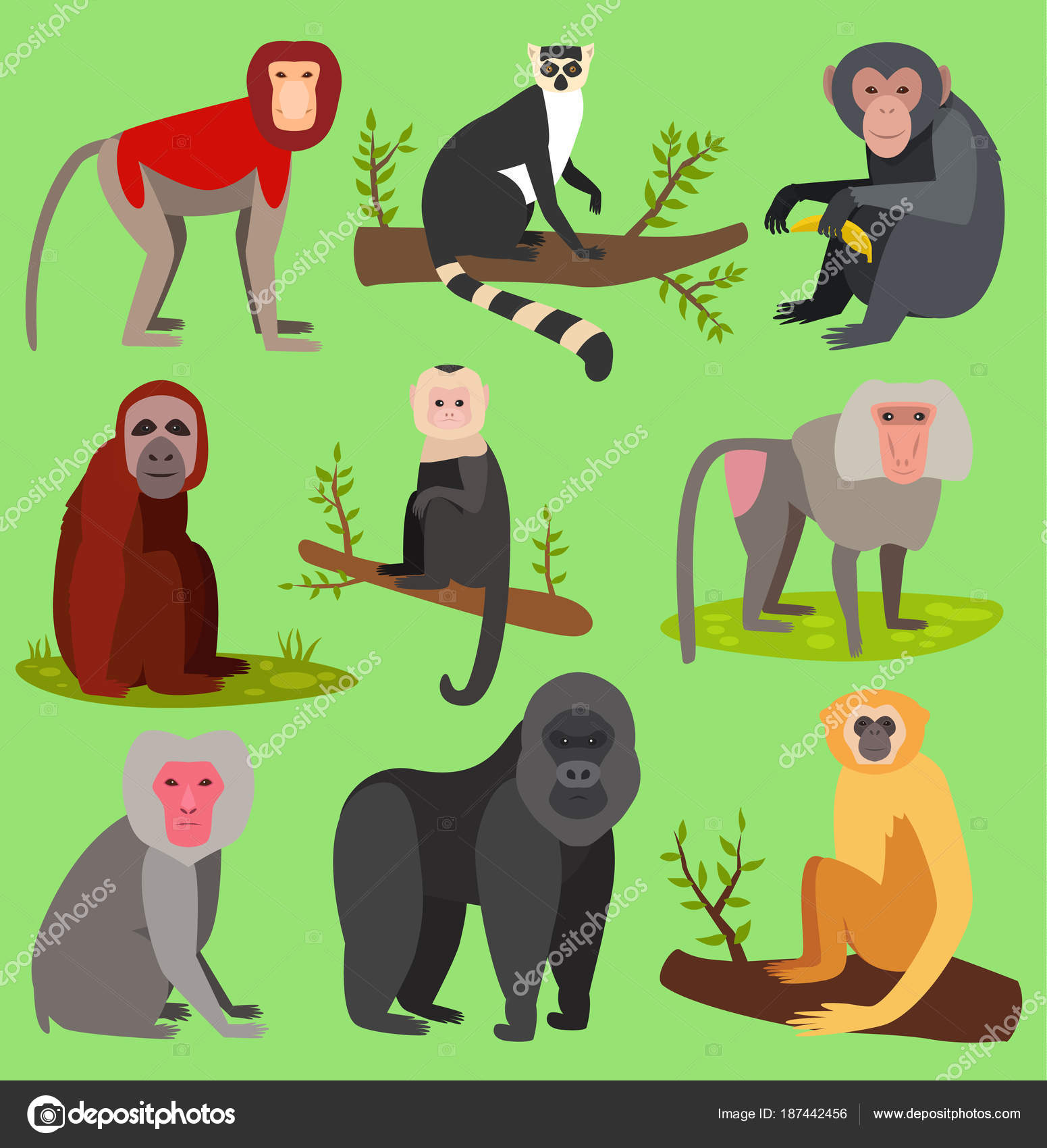 Conjunto de animais de macaco bonito dos desenhos animados