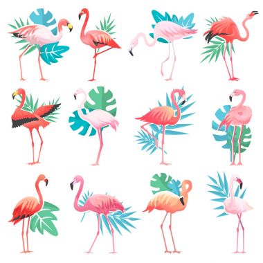 Flamingo vektör tropikal pembe flamingolar ve palm ile egzotik kuş bırakır illüstrasyon izole beyaz arka plan üzerinde moda kuş kümesi