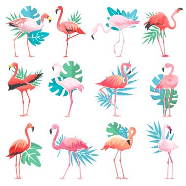 Flamingo vector tropical pink flamingos and exotic bird with palm leaves illustration set of fashion birdie isolated on white background clipart
