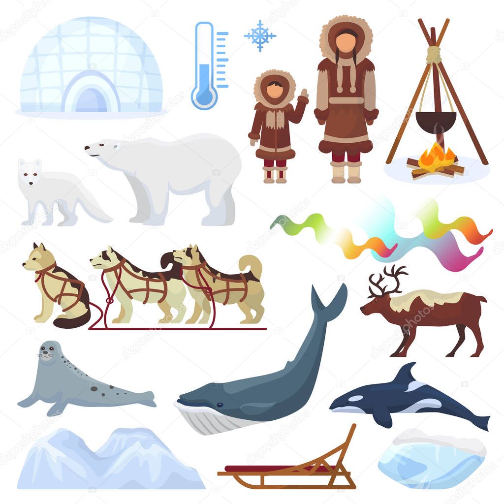 Arctic vector northern borealis norway and husky dog sledding sledge to yurta in snowy winter illustration polaris set of north ethnic characters animals and polar bear isolated on white background