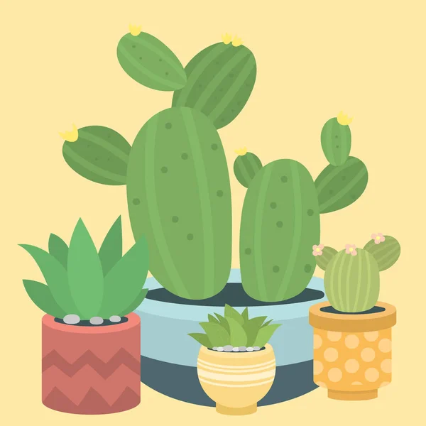 Cactus grön växt cactaceous hem natur kaktusar vektor illustration av träd med blomma — Stock vektor