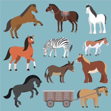 At vektör hayvan at üreme veya binicilik ve at veya at aygır illüstrasyon hayvansı atız dizi arka plan üzerinde izole midilli zebra ve eşek karakter