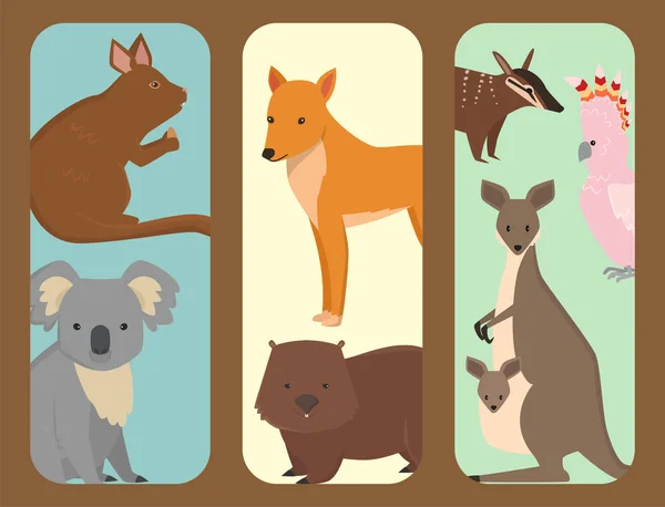 Australien vilda djur broschyr seriefigurer populära natur platta stil däggdjur samling vektorillustration. — Stock vektor