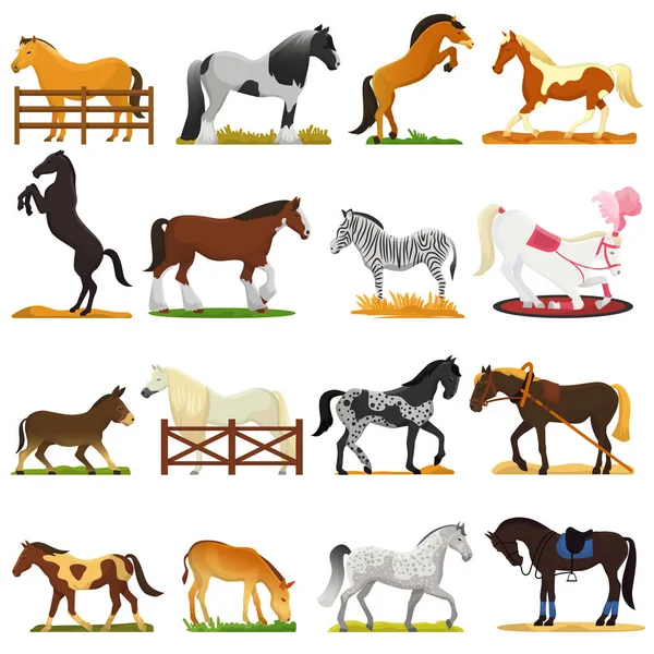 Dibujos animados caballo vector lindo animal de cría de caballos o ecuestre y caballo o semental equino ilustración animalista caballo conjunto de pony cebra carácter aislado en el fondo — Archivo Imágenes Vectoriales