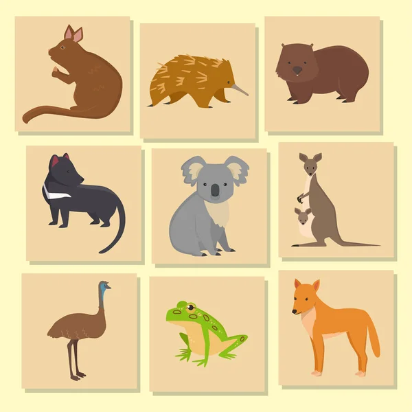 Australia wild animals card cartoon popular nature characters flat style mammal collection vector illustration. — Stock Vector