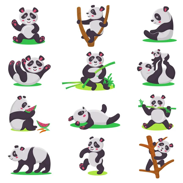 Panda niño vector bearcat carácter o oso chino niño jugando o comiendo bambú ilustración conjunto de dibujos animados panda gigante aislado sobre fondo blanco — Vector de stock