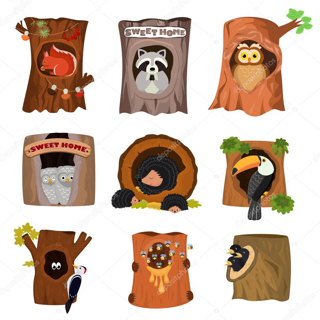 Animals in hollow vector animalistic character in tree hollowed hole illustration set of birds owl with owlets on treetops and squirrels or hedgehogs in hollowtree isolated on white background