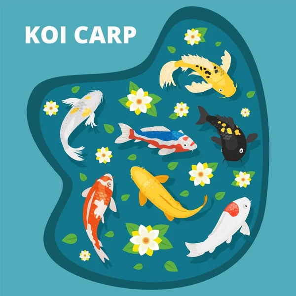 Koi carps vector illustration. Animals asian goldfish multicolored decorative koi carps swim in lake pond among flowering water lilies. Japanese chinese good luck symbol. — Stock vektor