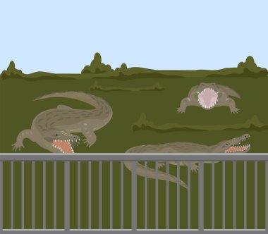 Reptile animals dangerous crocodiles wild predator alligators vector illustration. vector Reptile animals dangerous crocodiles wild predator alligators vector illustration. vector