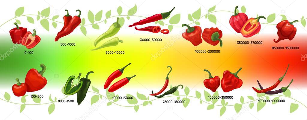 Scoville scale of chilli peppers infographic vector illustration, heat units for red and green chili pods