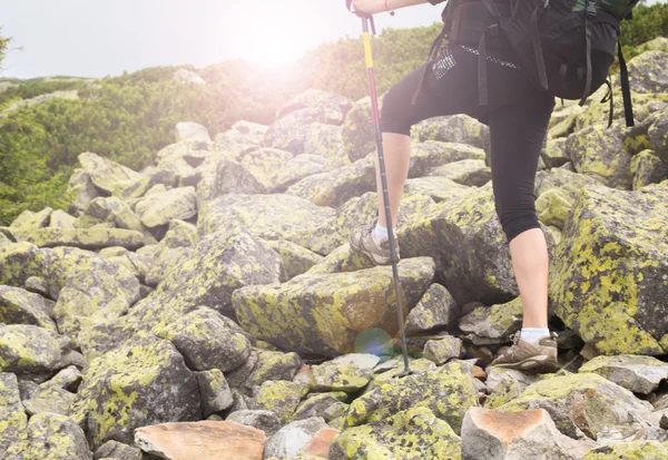 Žena Turistika Horách Dobrodružství Cvičení Nohy Nordic Walking Hůlky Přírodě — Stock fotografie