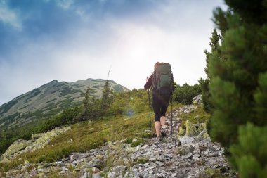 Dağlarda yürüyüş yapan genç bir kadın..