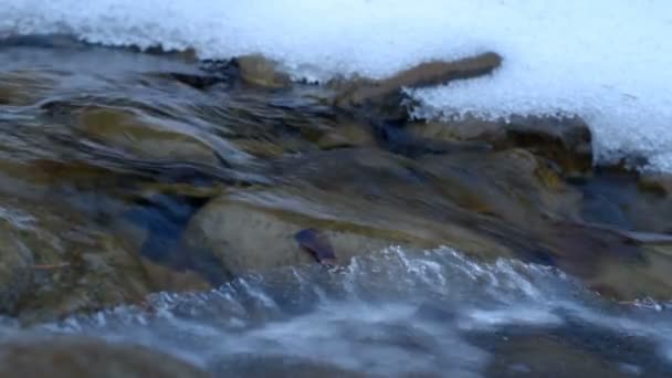 Vintern frusna creek — Stockvideo