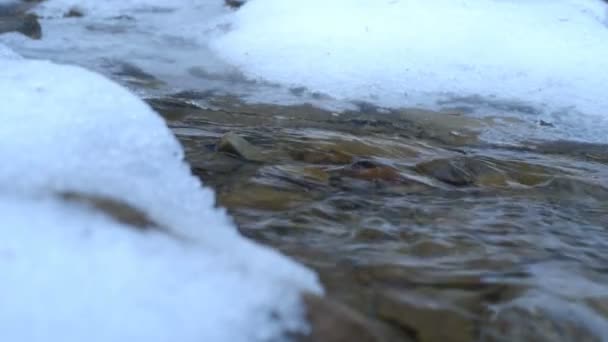 Winter bevroren creek — Stockvideo