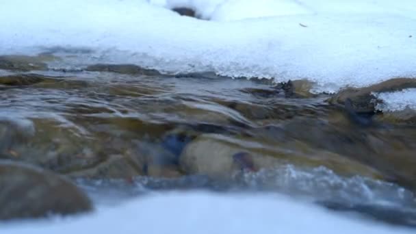 Kış donmuş creek — Stok video