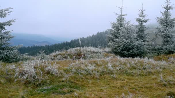 Vinterlandskap i bergen — Stockvideo