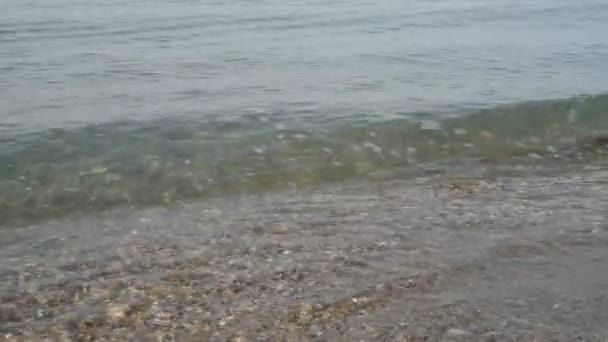 Strand und Wellen mit Schaum — Stockvideo