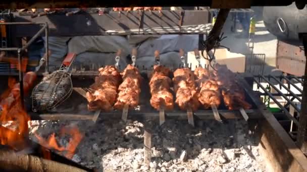 Carne grelhada em espetos — Vídeo de Stock