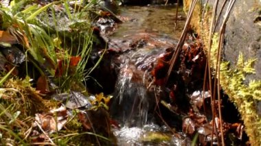 Küçük su akıntısı