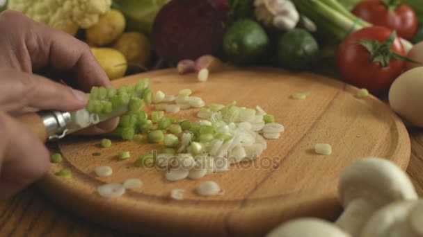 Cooking. Cutting onions — Stock Video