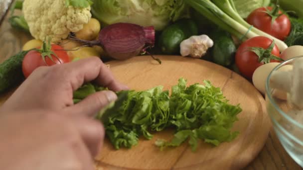 Vaření. Řezací čerstvý hlávkový salát — Stock video