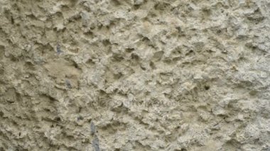 Karıncalar karınca iz üzerinde çalıştırmak