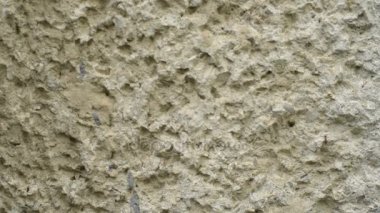 Karıncalar karınca iz üzerinde çalıştırmak