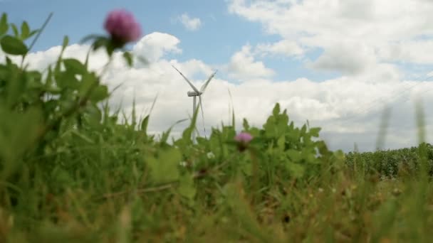 Экологическая энергия, ветряные турбины — стоковое видео