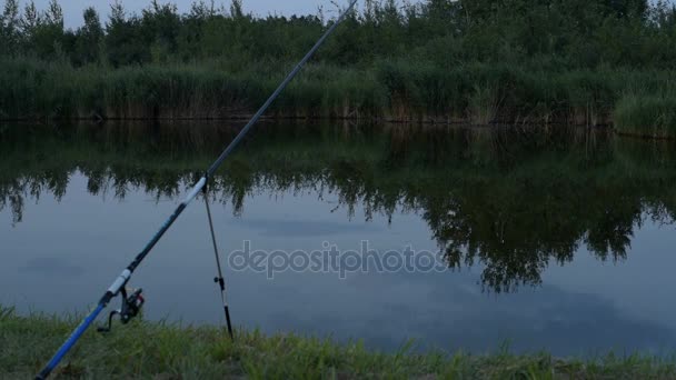 Fiske vid dammen på natten — Stockvideo