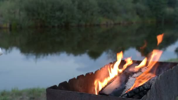 Marshmallows op camping brand — Stockvideo