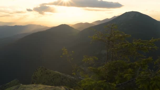 Puesta del sol, montañas, pino alpino, viento — Vídeos de Stock