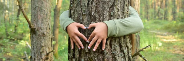 Childs manos haciendo una forma de corazón en un tronco de árbol — Foto de Stock