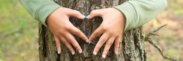 Childs manos haciendo una forma de corazón en un tronco de árbol — Foto de Stock