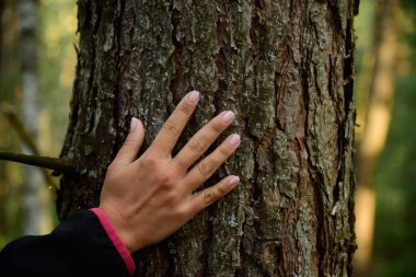 Büyük bir ağaç bir parkta sarılma kadın.