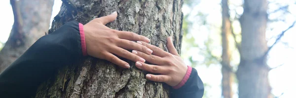 Woman hugging a big tree in a park.