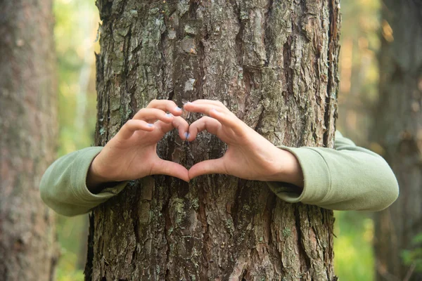 Childs manos haciendo una forma de corazón en un tronco de árbol — Foto de Stock