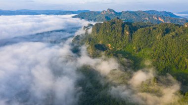 Tropikal yağmur ormanları dağındaki sabah sisinin hava görüntüsü.